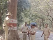 ರಿಪ್ಪನ ಪೇಟೆ ಪೊಲೀಸರಿಂದ ಅಪಘಾತ ತಡೆಗಟ್ಟುಲು ಕ್ರಮ…!!