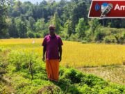 ಎಡಮನೆ: ರೈತರ ತೋಟ ಕಡಿತಲೆಗೆ ಕ್ಷಣಗಣನೆ. ಇದು ಆರಂಭವೇ?,ಸದ್ದಿಲ್ಲದೆ ನಡೆಯುತ್ತಿದೆ ಒಕ್ಕಲ್ಲೆಬ್ಬಿಸುವ ತಯಾರಿ!