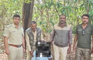 ಅರಣ್ಯದಲ್ಲಿ ಸಿಡಿಮದ್ದು ಬೇಟೆ ಬಯಲು: 45 ನೆಲಬಾಂಬ್ಗಳೊಂದಿಗೆ ಆರೋಪಿ ಬಂಧನ..!!