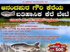 ಆನಂದಪುರ ಗೌರಿ ಕೆರೆಯಲ್ಲಿ ಮೇ 20ರಂದು ಐತಿಹಾಸಿಕ ಕೆರೆ ಬೇಟೆ..!!