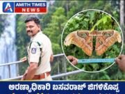 ಅರಣ್ಯಾಧಿಕಾರಿ ಬಸವರಾಜ್ ಜಿಗಳಿಕೊಪ್ಪ ಕ್ಯಾಮೆರಾದಲ್ಲಿ ಸೆರೆಯಾಯ್ತು ಬೃಹತ್ ‘ಅಟ್ಲಾಸ್ ಪತಂಗ’..!!