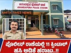ಪೊಲೀಸ್ ಠಾಣೆಯಲ್ಲಿ 11 ಕ್ವಿಂಟಾಲ್ ಹಸಿ ಅಡಿಕೆ ಹರಾಜು..!!